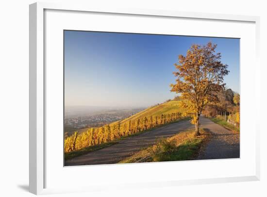 View over Stuttgart with the Tomb Chapel, Vineyards at Sundown in Autumn, Germany-Markus Lange-Framed Photographic Print