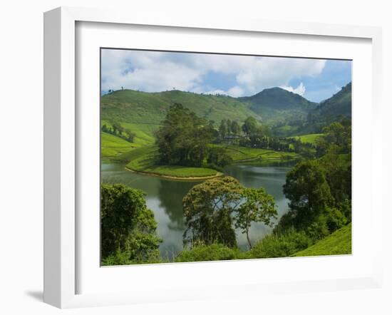 View over Tea Estate, Tamil Nadu, India, Asia-Stuart Black-Framed Photographic Print