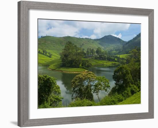 View over Tea Estate, Tamil Nadu, India, Asia-Stuart Black-Framed Photographic Print