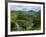 View over Tea Estate, Tamil Nadu, India, Asia-Stuart Black-Framed Photographic Print