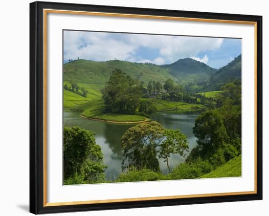View over Tea Estate, Tamil Nadu, India, Asia-Stuart Black-Framed Photographic Print