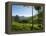 View over Tea Plantations, Near Munnar, Kerala, India, Asia-Stuart Black-Framed Premier Image Canvas