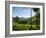 View over Tea Plantations, Near Munnar, Kerala, India, Asia-Stuart Black-Framed Photographic Print