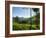 View over Tea Plantations, Near Munnar, Kerala, India, Asia-Stuart Black-Framed Photographic Print