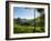 View over Tea Plantations, Near Munnar, Kerala, India, Asia-Stuart Black-Framed Photographic Print