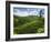 View over Tea Plantations, Near Munnar, Kerala, India, Asia-Stuart Black-Framed Photographic Print