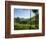 View over Tea Plantations, Near Munnar, Kerala, India, Asia-Stuart Black-Framed Photographic Print