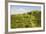 View over the Araratian Plain Towards Mount Ararat, Armenia-Michael Runkel-Framed Photographic Print