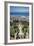 View over the Bahai Gardens, Haifa, Israel, Middle East-Yadid Levy-Framed Photographic Print