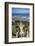 View over the Bahai Gardens, Haifa, Israel, Middle East-Yadid Levy-Framed Photographic Print