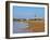 View over the beach towards the lighthouse, Cabo Polonio, Rocha Department, Uruguay, South America-Karol Kozlowski-Framed Photographic Print