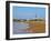 View over the beach towards the lighthouse, Cabo Polonio, Rocha Department, Uruguay, South America-Karol Kozlowski-Framed Photographic Print