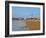 View over the beach towards the lighthouse, Cabo Polonio, Rocha Department, Uruguay, South America-Karol Kozlowski-Framed Photographic Print