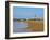 View over the beach towards the lighthouse, Cabo Polonio, Rocha Department, Uruguay, South America-Karol Kozlowski-Framed Photographic Print