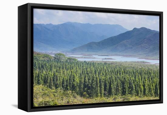 View over the Blue River Provincial Park, Yate, New Caledonia, Pacific-Michael Runkel-Framed Premier Image Canvas