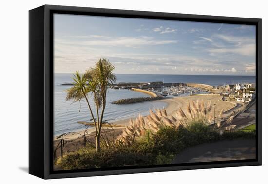 View over The Cobb and beach from Langmoor and Lister gardens, Lyme Regis, Dorset, England, United -Stuart Black-Framed Premier Image Canvas