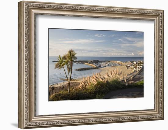 View over The Cobb and beach from Langmoor and Lister gardens, Lyme Regis, Dorset, England, United -Stuart Black-Framed Photographic Print