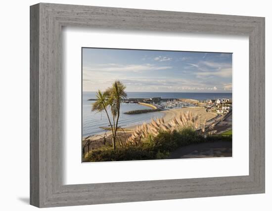 View over The Cobb and beach from Langmoor and Lister gardens, Lyme Regis, Dorset, England, United -Stuart Black-Framed Photographic Print