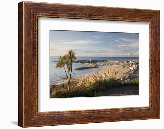 View over The Cobb and beach from Langmoor and Lister gardens, Lyme Regis, Dorset, England, United -Stuart Black-Framed Photographic Print