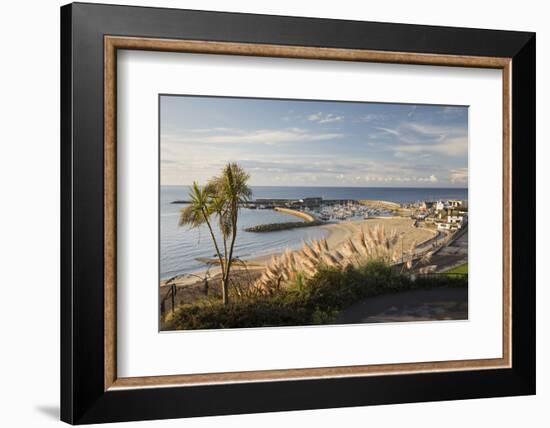 View over The Cobb and beach from Langmoor and Lister gardens, Lyme Regis, Dorset, England, United -Stuart Black-Framed Photographic Print