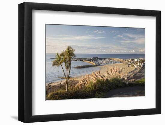 View over The Cobb and beach from Langmoor and Lister gardens, Lyme Regis, Dorset, England, United -Stuart Black-Framed Photographic Print