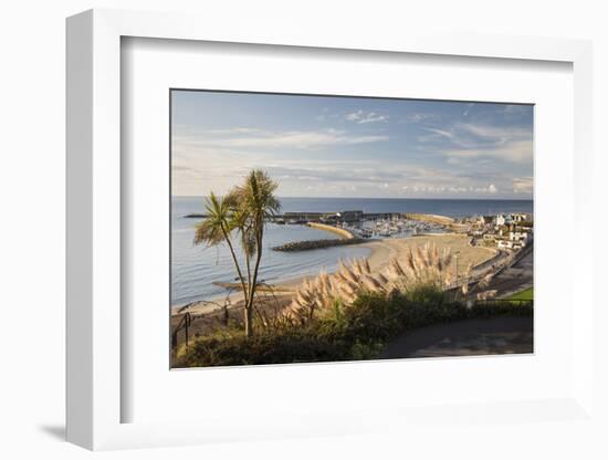 View over The Cobb and beach from Langmoor and Lister gardens, Lyme Regis, Dorset, England, United -Stuart Black-Framed Photographic Print