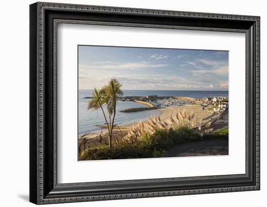 View over The Cobb and beach from Langmoor and Lister gardens, Lyme Regis, Dorset, England, United -Stuart Black-Framed Photographic Print