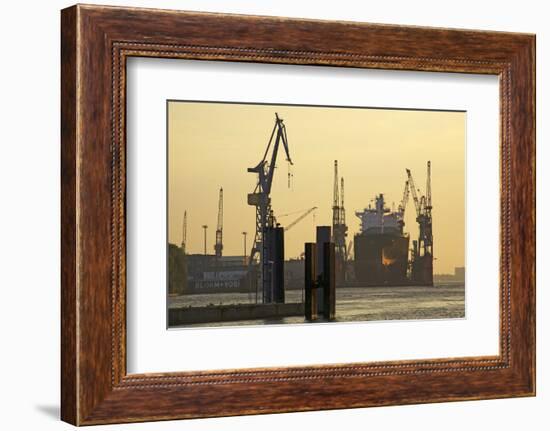 View over the Elbe on the Swimming Dock of Blohm and Voss in the Evening Light-Uwe Steffens-Framed Photographic Print