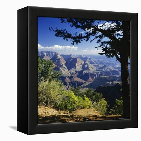 View Over the Grand Canyon, Unesco World Heritage Site, Arizona, United States of America (USA)-G Richardson-Framed Premier Image Canvas