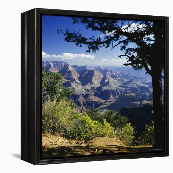 View Over the Grand Canyon, Unesco World Heritage Site, Arizona, United States of America (USA)-G Richardson-Framed Premier Image Canvas