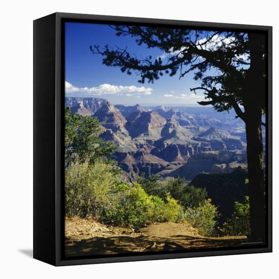 View Over the Grand Canyon, Unesco World Heritage Site, Arizona, United States of America (USA)-G Richardson-Framed Premier Image Canvas