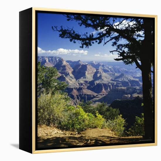 View Over the Grand Canyon, Unesco World Heritage Site, Arizona, United States of America (USA)-G Richardson-Framed Premier Image Canvas