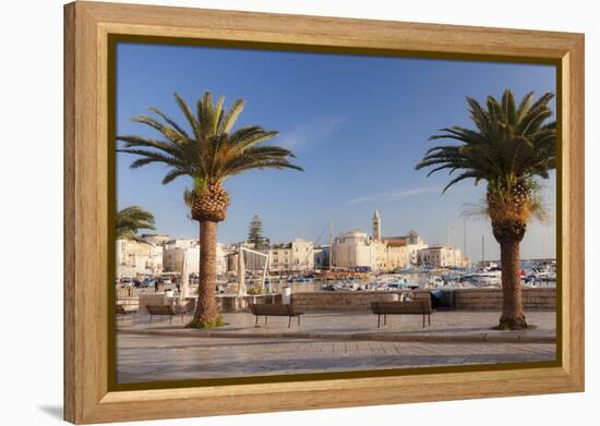 View over the harbour to San Nicola Pellegrino cathedral, Trani, Le Murge, Barletta-Andria-Trani di-Markus Lange-Framed Premier Image Canvas