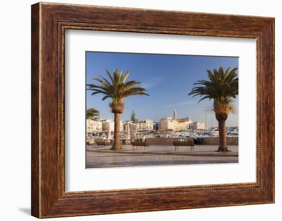 View over the harbour to San Nicola Pellegrino cathedral, Trani, Le Murge, Barletta-Andria-Trani di-Markus Lange-Framed Photographic Print