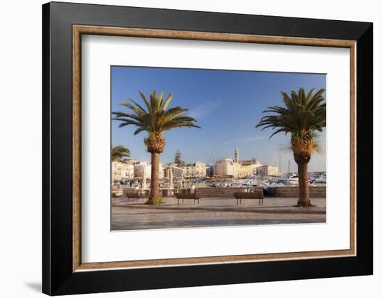 View over the harbour to San Nicola Pellegrino cathedral, Trani, Le Murge, Barletta-Andria-Trani di-Markus Lange-Framed Photographic Print