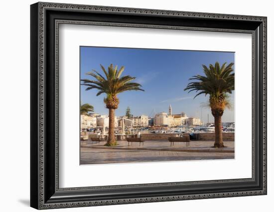 View over the harbour to San Nicola Pellegrino cathedral, Trani, Le Murge, Barletta-Andria-Trani di-Markus Lange-Framed Photographic Print