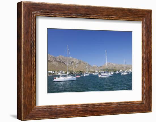 View over the Marina to Port De Pollenca, Pollenca, Majorca (Mallorca)-Markus Lange-Framed Photographic Print