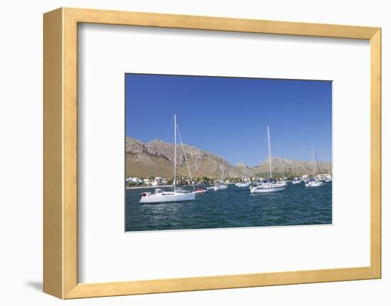 View over the Marina to Port De Pollenca, Pollenca, Majorca (Mallorca)-Markus Lange-Framed Photographic Print