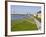 View Over the Rheinuferpromenade Along the River Rhine Towards the Old City, North Rhine Westphalia-Yadid Levy-Framed Photographic Print