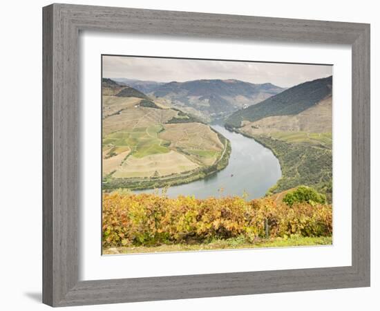 View over the River Duoro in autumn, Portugal, Europe-Jean Brooks-Framed Photographic Print