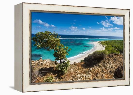 View over the Turquoise Waters of Barbuda-Michael Runkel-Framed Premier Image Canvas