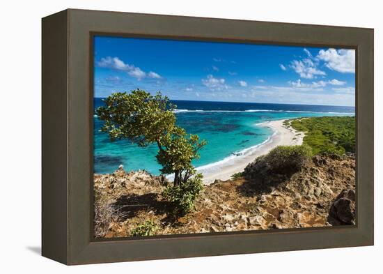 View over the Turquoise Waters of Barbuda-Michael Runkel-Framed Premier Image Canvas