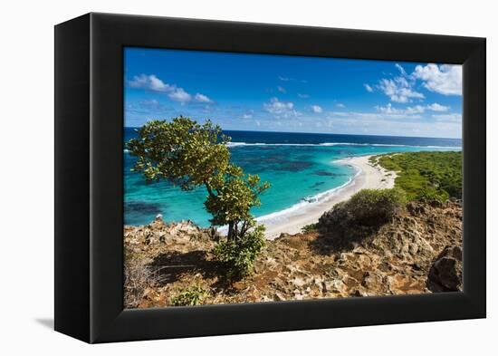 View over the Turquoise Waters of Barbuda-Michael Runkel-Framed Premier Image Canvas