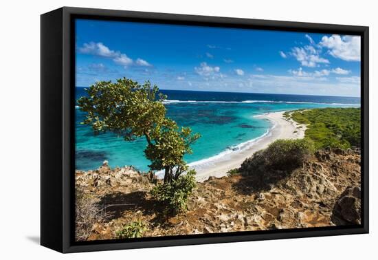 View over the Turquoise Waters of Barbuda-Michael Runkel-Framed Premier Image Canvas