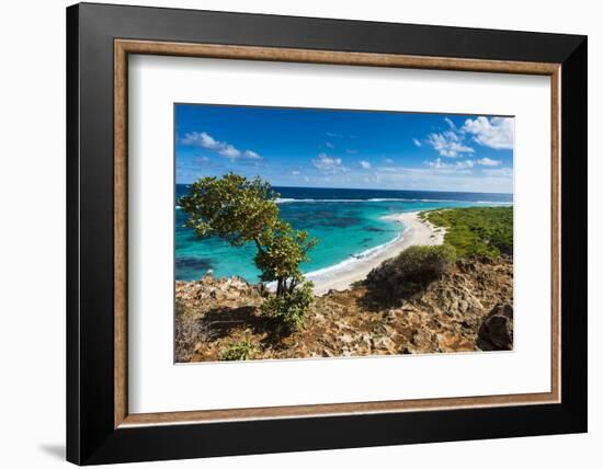 View over the Turquoise Waters of Barbuda-Michael Runkel-Framed Photographic Print