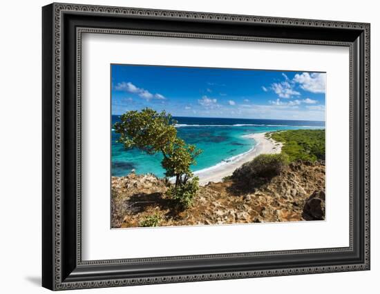 View over the Turquoise Waters of Barbuda-Michael Runkel-Framed Photographic Print