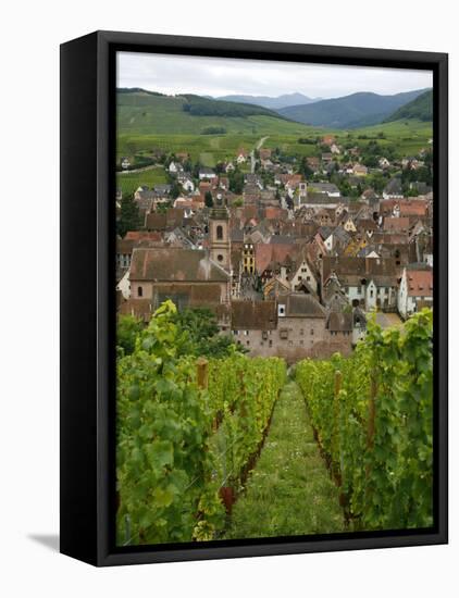 View over the Village of Riquewihr and Vineyards in the Wine Route Area, Alsace, France, Europe-Yadid Levy-Framed Premier Image Canvas