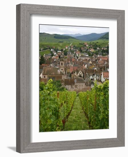 View over the Village of Riquewihr and Vineyards in the Wine Route Area, Alsace, France, Europe-Yadid Levy-Framed Photographic Print