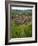 View over the Village of Riquewihr and Vineyards in the Wine Route Area, Alsace, France, Europe-Yadid Levy-Framed Photographic Print