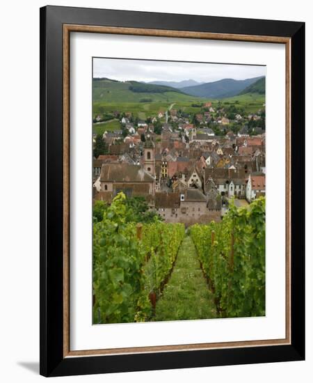 View over the Village of Riquewihr and Vineyards in the Wine Route Area, Alsace, France, Europe-Yadid Levy-Framed Photographic Print